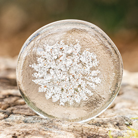 clear Bob Rock memorial artistic black glass with ash